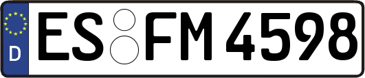 ES-FM4598