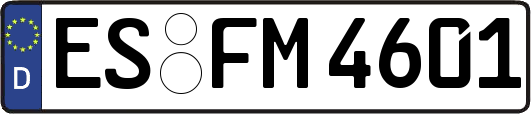ES-FM4601