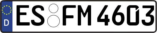 ES-FM4603