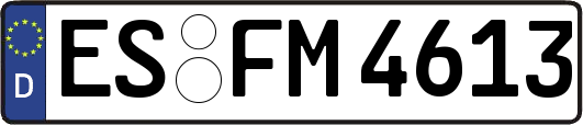 ES-FM4613