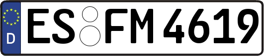 ES-FM4619