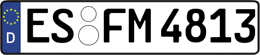 ES-FM4813