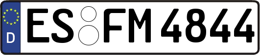 ES-FM4844