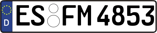 ES-FM4853