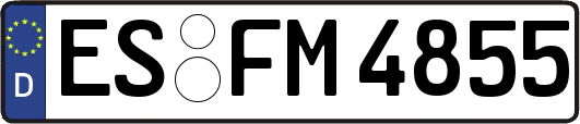 ES-FM4855