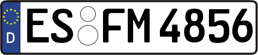 ES-FM4856