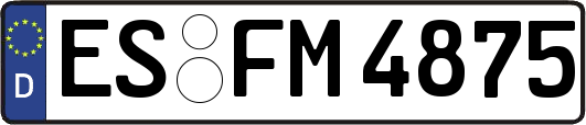 ES-FM4875