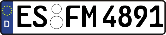 ES-FM4891