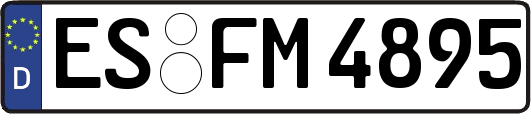 ES-FM4895