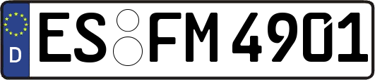 ES-FM4901