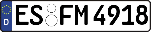 ES-FM4918