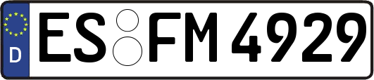 ES-FM4929