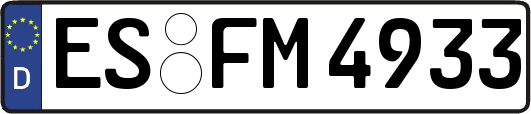 ES-FM4933