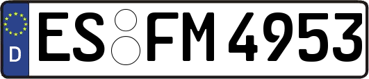 ES-FM4953