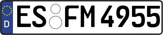 ES-FM4955