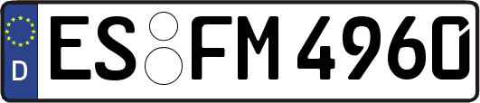 ES-FM4960
