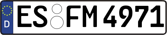 ES-FM4971