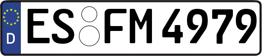 ES-FM4979