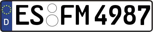 ES-FM4987