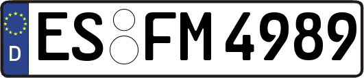 ES-FM4989
