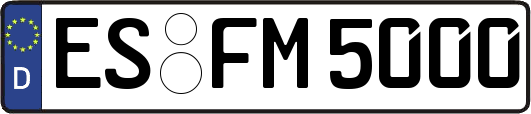 ES-FM5000