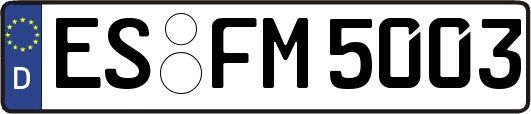ES-FM5003