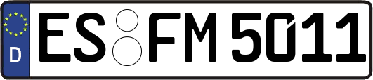 ES-FM5011