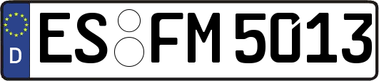ES-FM5013
