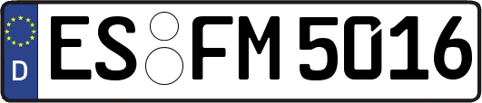ES-FM5016