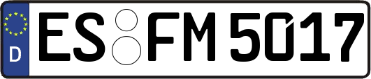 ES-FM5017