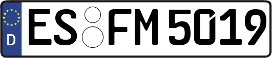 ES-FM5019