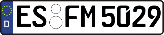 ES-FM5029