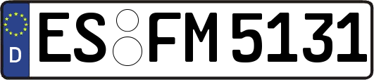 ES-FM5131