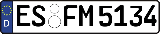 ES-FM5134