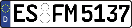ES-FM5137