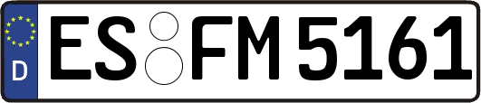 ES-FM5161