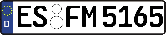 ES-FM5165
