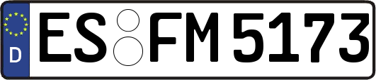 ES-FM5173