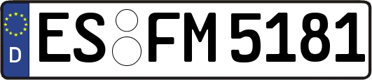 ES-FM5181