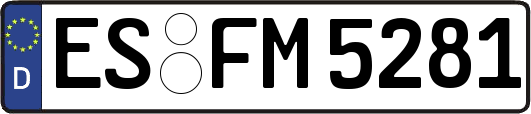 ES-FM5281