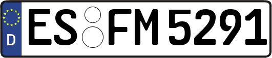 ES-FM5291