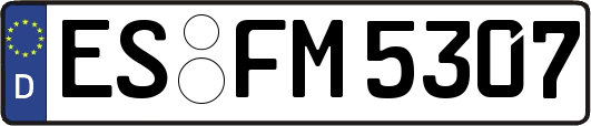 ES-FM5307