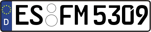 ES-FM5309