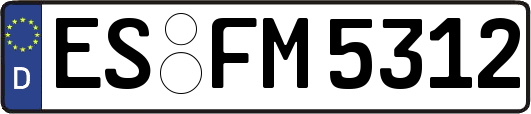 ES-FM5312