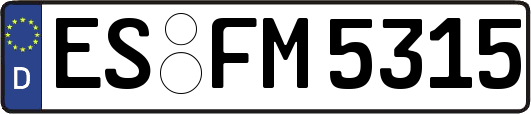 ES-FM5315