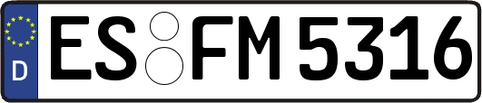 ES-FM5316