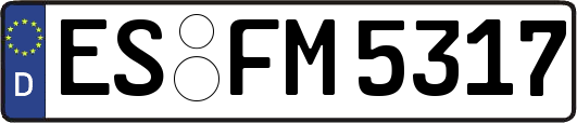 ES-FM5317