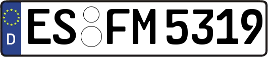 ES-FM5319