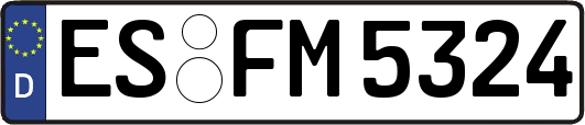 ES-FM5324