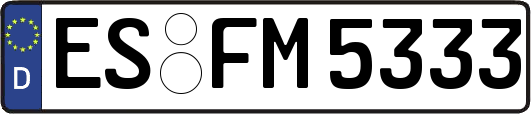 ES-FM5333